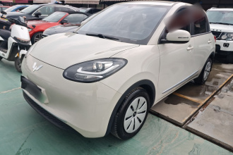 五菱汽车 五菱缤果 2023款 203km 轻享款