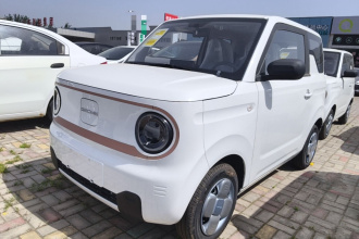 吉利银河 2024款 熊猫mini 200km 耐力熊