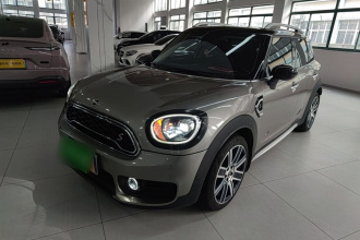 MINI Countryman 2019款 2.0T COOPER S ALL4 艺术家