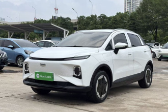 吉利几何E萤火虫 2024款 301km 星光