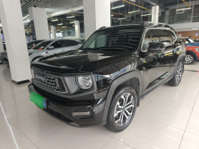 哈弗大狗 PLUS 2023款 1.5T 两驱潮野版Plus