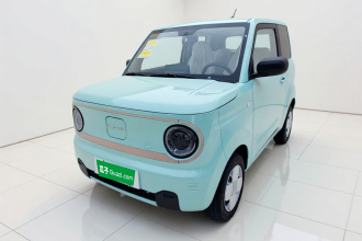 吉利银河 2024款 熊猫mini 200km 耐力熊