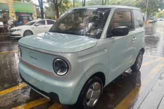 吉利银河 2023款 熊猫mini 200km 耐力熊