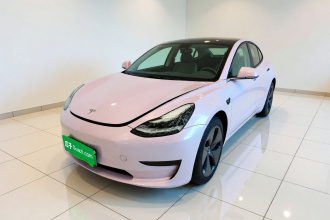特斯拉 Model 3(进口) 2019款 长续航后驱版