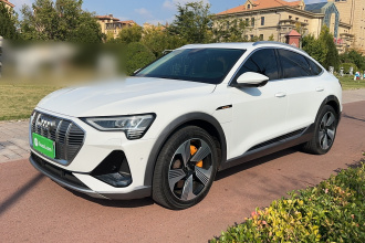 奥迪e-tron(进口) 2021款 Sportback 55 quattro 臻选型