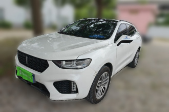 魏牌 VV5 2017款 2.0T 超豪型
