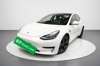 特斯拉 Model 3 2020款 标准续航后驱升级版
