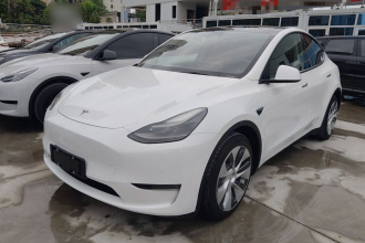 特斯拉 Model Y 2021款 标准续航后驱版