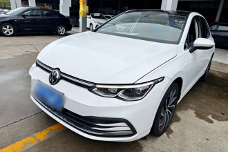 大众 高尔夫 2021款 280TSI DSG Pro