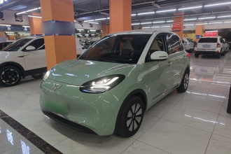 五菱汽车 五菱缤果 2023款 410km 灵犀尊享款