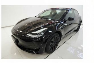 特斯拉 Model 3 2020款 改款 标准续航后驱升级版