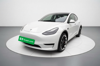 特斯拉 Model Y 2021款 标准续航后驱版