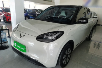 五菱汽车 五菱缤果 2024款 333km 悦享款