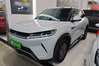 比亚迪 元UP 2024款  401KM 活力版