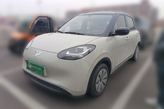 五菱汽车 五菱缤果 2023款 203km 轻享款