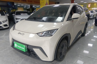 比亚迪 海鸥 2024款 荣耀版 305km 活力版