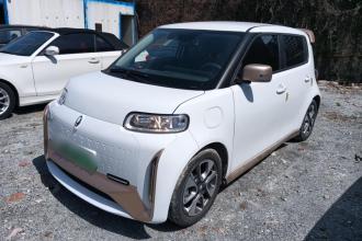 欧拉白猫 2022款 小野猫版 360km 豪华型 三元锂