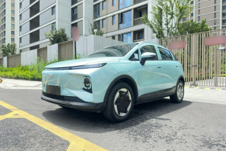 吉利几何E萤火虫 2024款 301km 星光