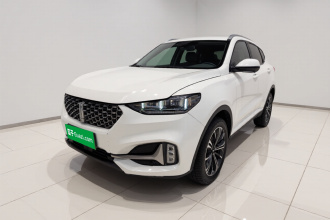 魏牌 VV6 2021款 2.0T 两驱智护+