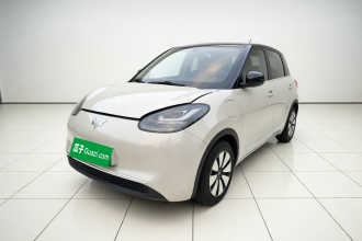 五菱汽车 五菱缤果 2024款 333km 悦享款