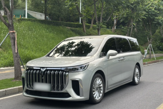 岚图汽车 岚图梦想家 2022款 低碳版 想+智驾包