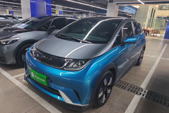 比亚迪 海豚 2021款 401km 骑士版