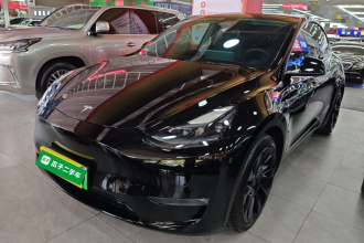 特斯拉 Model Y 2021款 标准续航后驱版