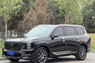 广汽传祺 传祺GS8 2024款 领航系列 2.0TGDI 两驱豪华智联版 7座