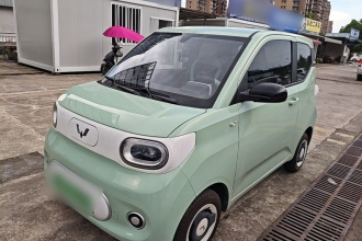 五菱汽车 宏光MINIEV 2024款 第三代 215km 青春版