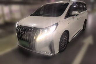 广汽传祺 传祺M8 2021款 大师系列 390T 至尊版