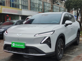 五菱汽车 五菱星光S 2024款 510km 旗舰型