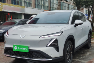 五菱汽车 五菱星光S 2024款 510km 旗舰型