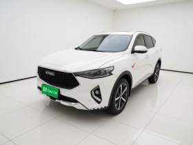 哈弗F7 2019款 1.5T 两驱i潮 国V