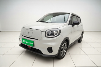 零跑汽车 零跑T03 2021款 400轻享版 磷酸铁锂