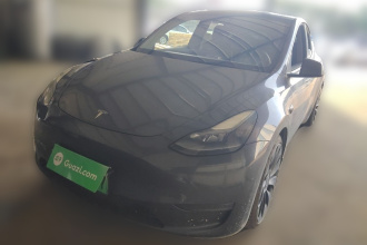 特斯拉 Model Y 2022款 Performance高性能全轮驱动版