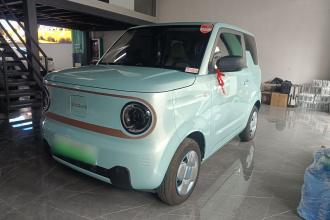 吉利银河 2024款 熊猫mini 200km 耐力熊
