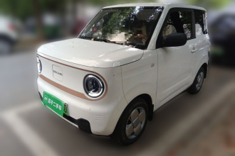 吉利银河 2024款 熊猫mini 200km 耐力熊