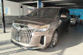 别克GL8 2021款 陆上公务舱 652T 舒适型