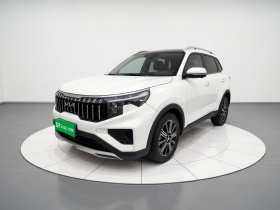 起亚 智跑 2021款 Ace 2.0L 精彩版