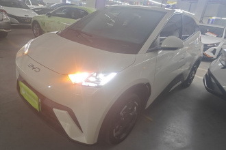比亚迪 海鸥 2024款 荣耀版 405km 飞翔版