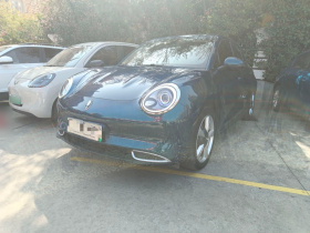 欧拉好猫 2021款 400km标准续航 维纳斯版 磷酸铁锂