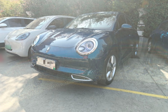 欧拉好猫 2021款 400km标准续航 维纳斯版 磷酸铁锂