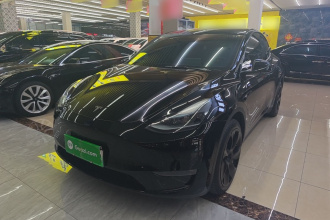 特斯拉 Model Y 2022款 改款 长续航全轮驱动版