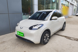 五菱汽车 五菱缤果 2023款 203km 舒享款