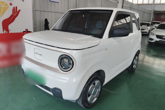 吉利银河 2024款 熊猫mini 200km 耐力熊