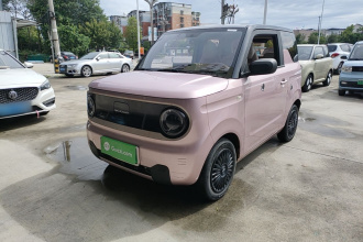 吉利银河 2023款 熊猫mini 200km 灵动熊