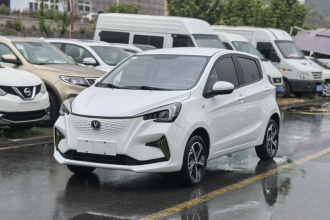 长安 奔奔E-Star 2020款 心动版 磷酸铁锂（31.18kWh）
