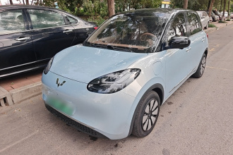 五菱汽车 五菱缤果 2025款 410km 灵犀尊享款