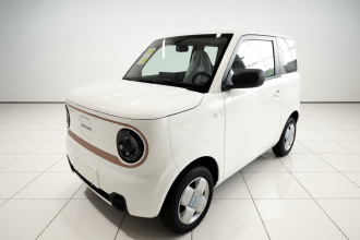 吉利银河 2024款 熊猫mini 200km 耐力熊