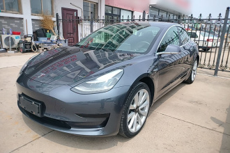 特斯拉 Model 3 2019款 标准续航后驱升级版